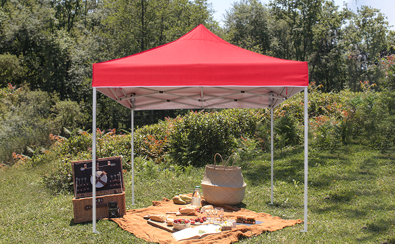  Tent with Donkey Kong frame 