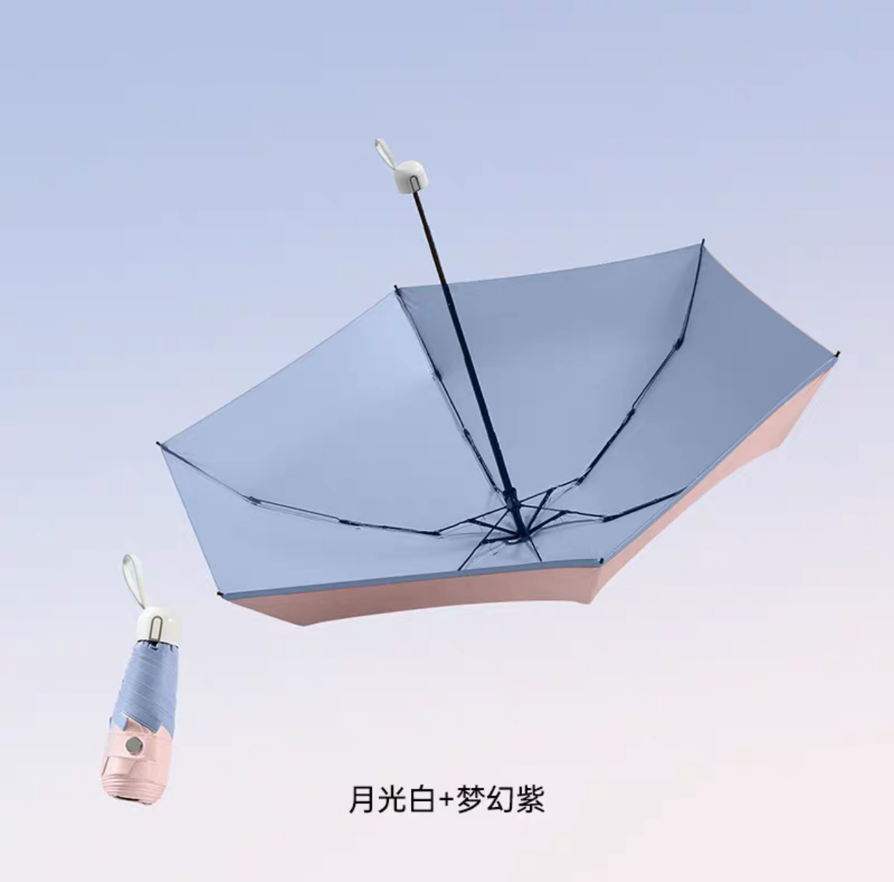 parasol umbrella