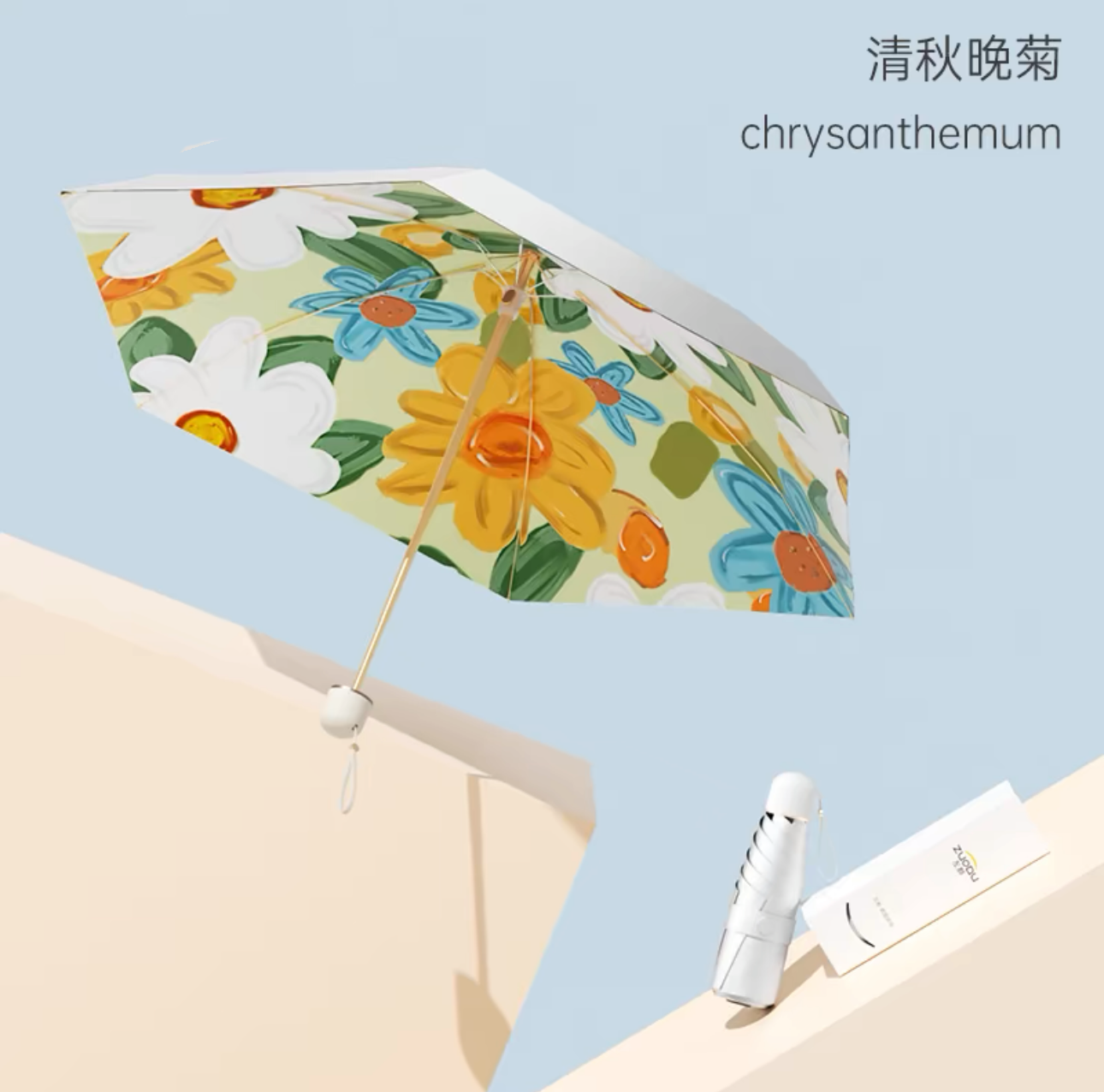 parasol umbrella