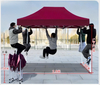 Multi-dimension Custom Steel Pop Up Tents Advertising Canopy Tent For Trade Show Display Events Outdoor Hexagonal Frame