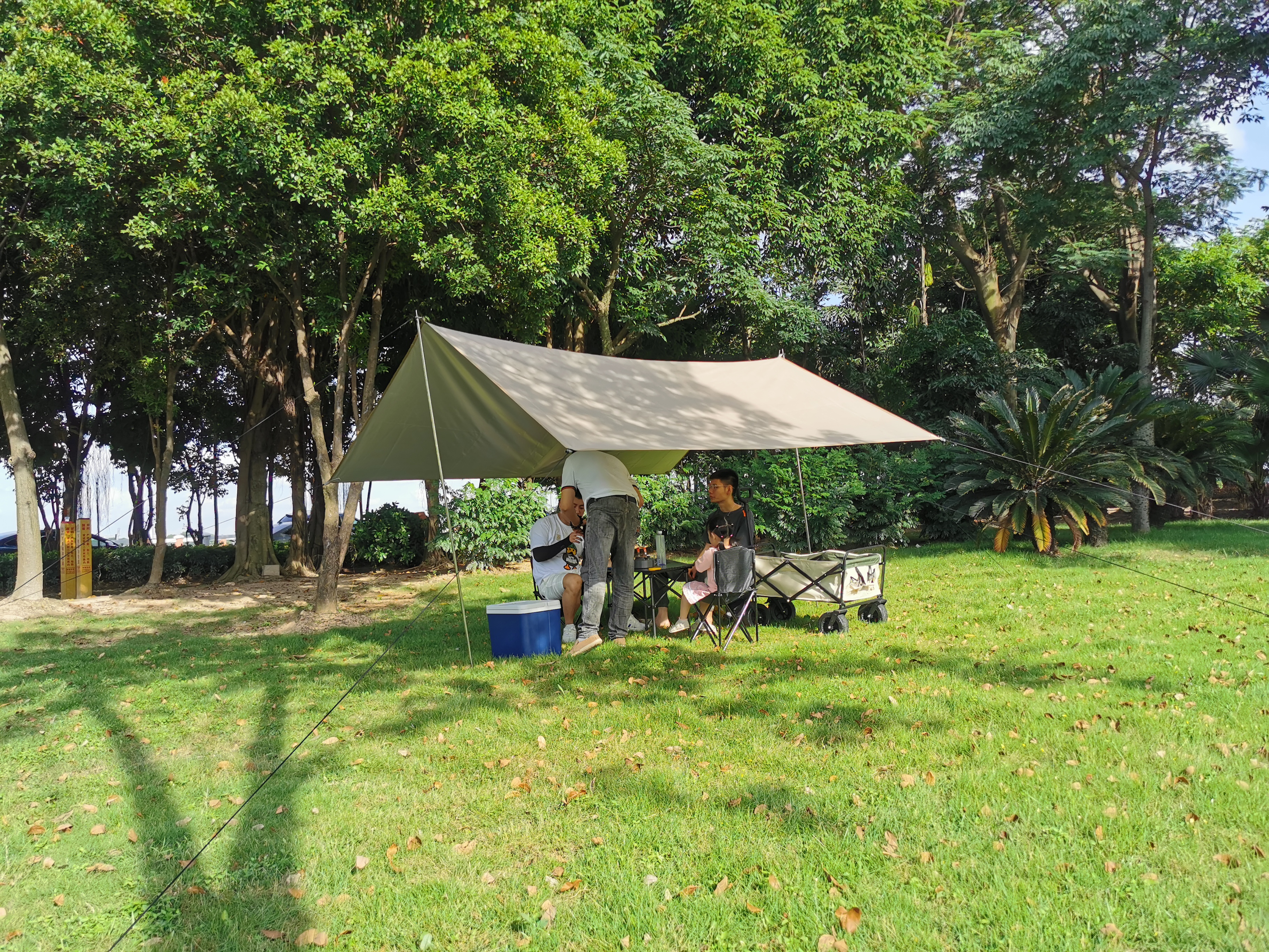 pop up canopy tent