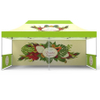 Custom Printed 3x6 Ez up Folding Pop up Canopy Tent Trade Show Advertising Gazebo Roof Top for Sale