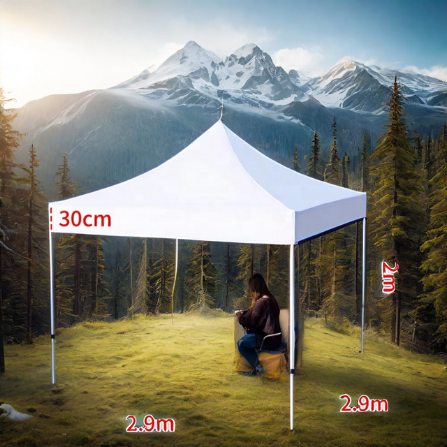 Wholesale 10x10ft Pop Up Canopy Marquee Custom Logo Printed Trade Show Advertising Folding Tent Party Tent
