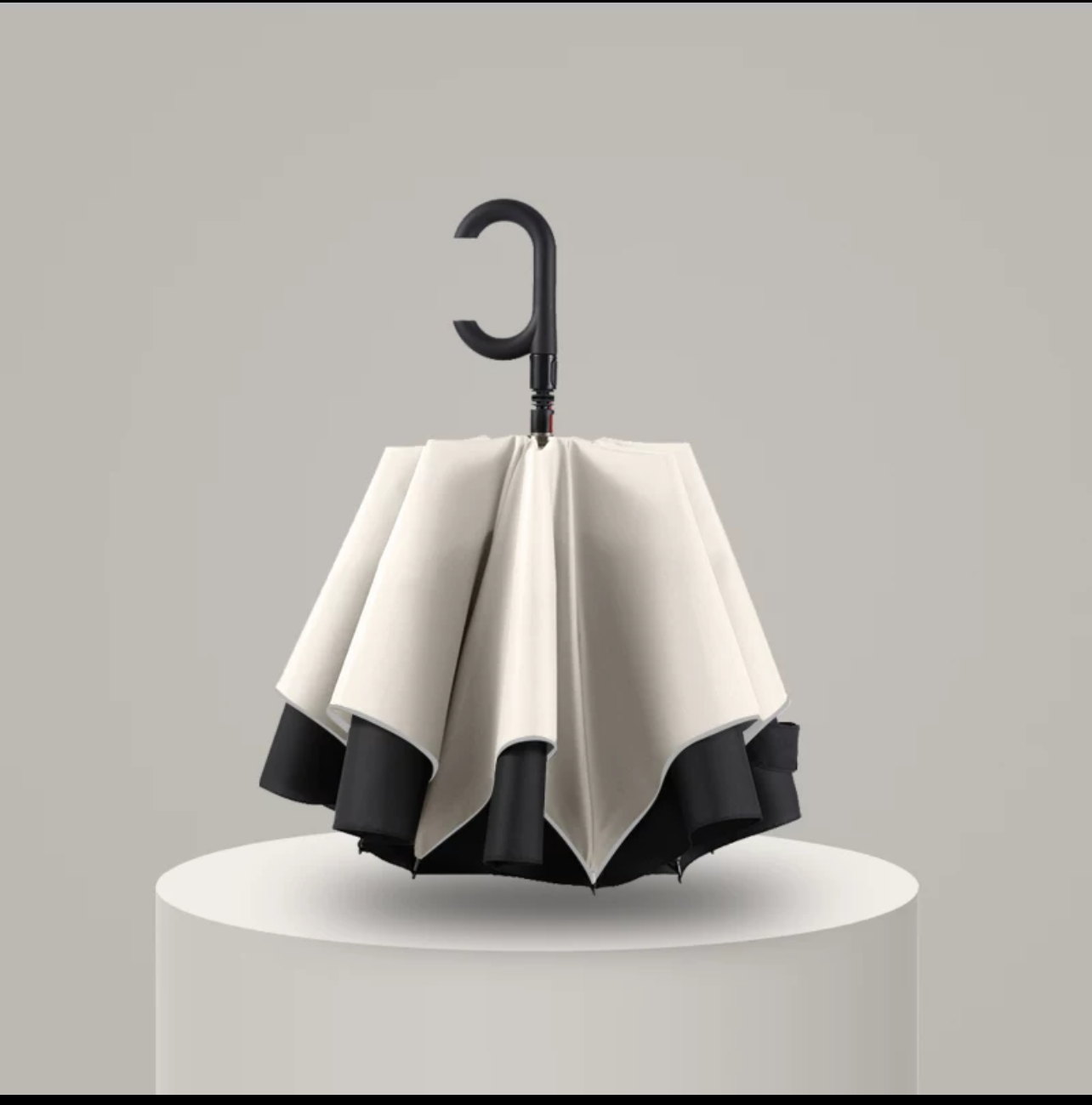 rain umbrella