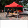 Custom Printed Trade Show Advertising Canopy Tents Roof Summer Exhibition Promotion Display 10ft tent