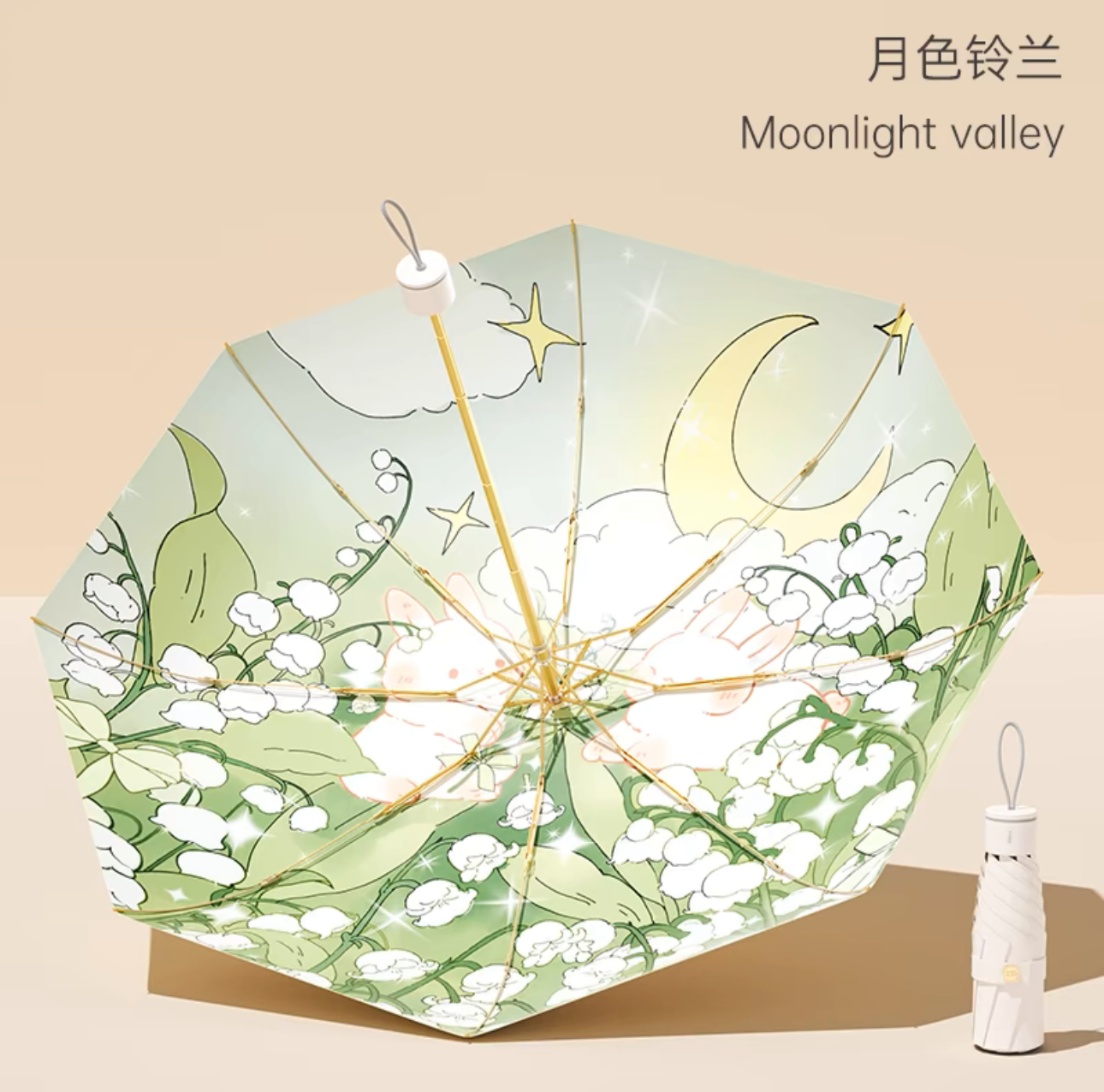 clear umbrellas